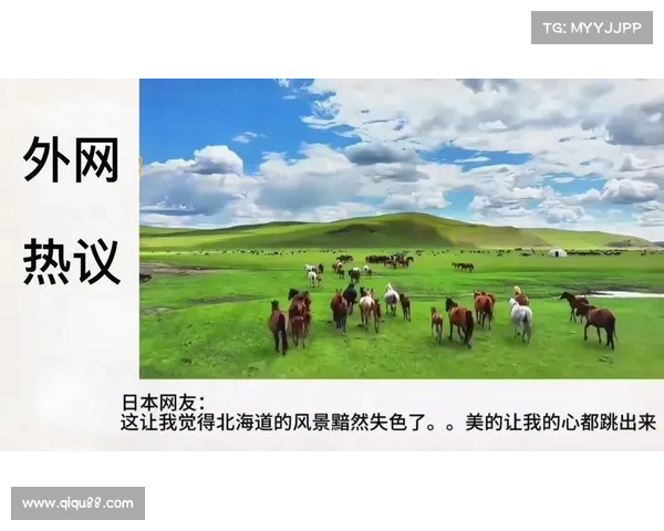 内蒙赛事直播盛宴实时呈现草原精彩竞技在线体验激情赛事魅力 内蒙赛事直播盛宴实时呈现草原精彩竞技在线体验激情赛事魅力