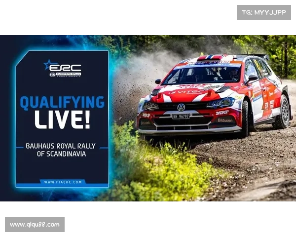 拉力赛 顶级赛事有哪些